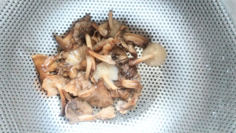 ナラタケ　スーパーで市販されていたもの