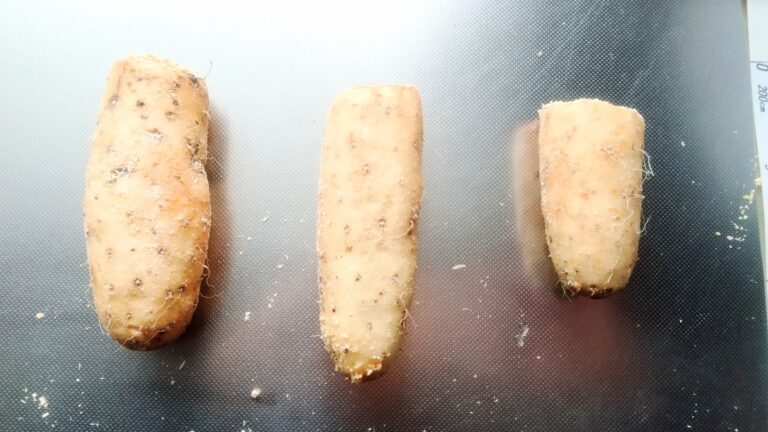 やまのいも　北海道産