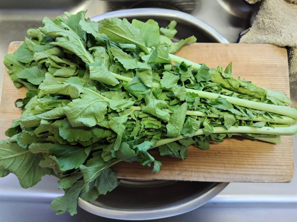 大根の葉