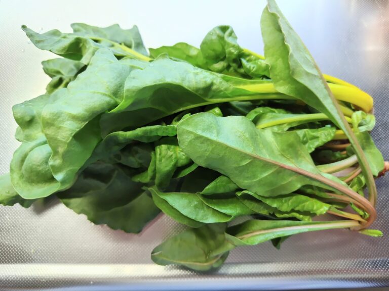 ふだんそう（スイスチャード）