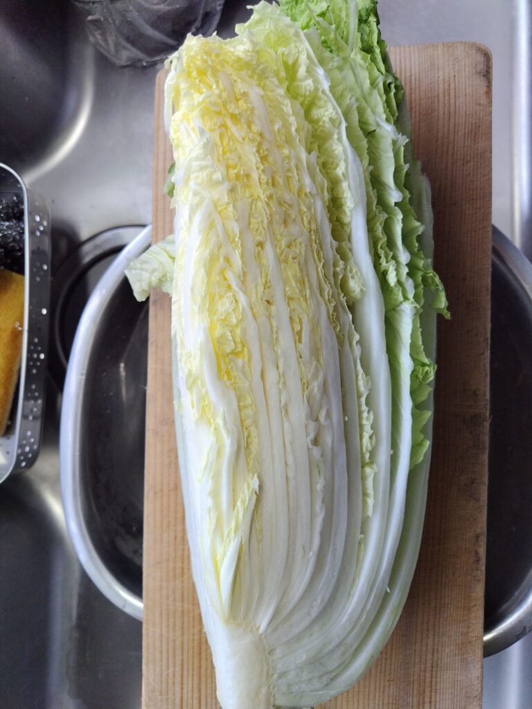 白菜　カットされたもの