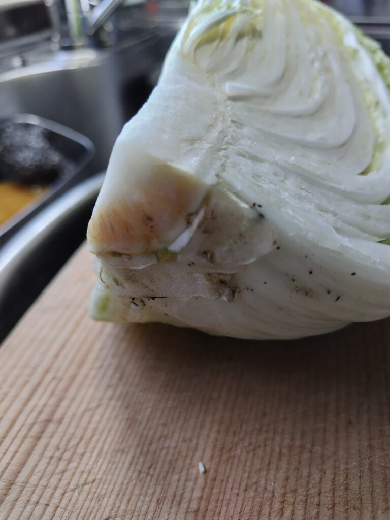 白菜　カットされたもの　芯側