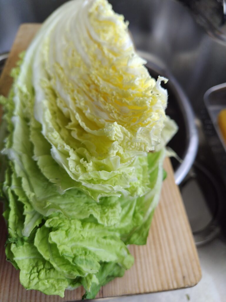 白菜　先端