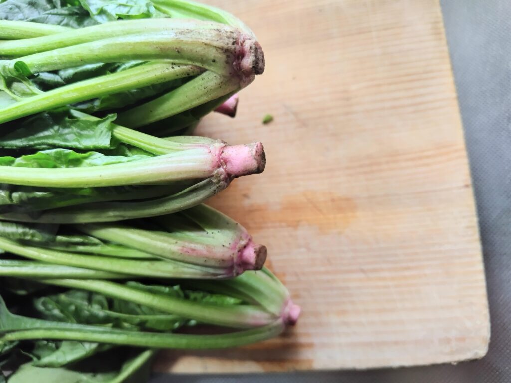 ほうれん草　根元　ピンクに色づいている