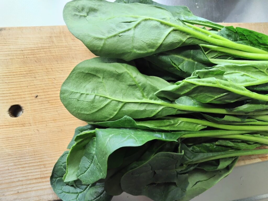ほうれん草　葉側