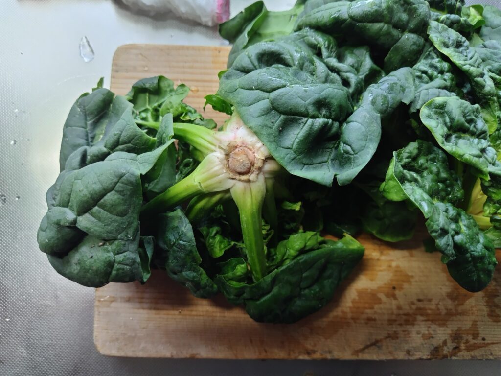 縮みほうれん草