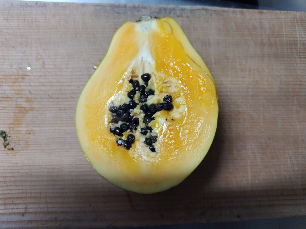パパイヤ 縦半分にカットしたもの