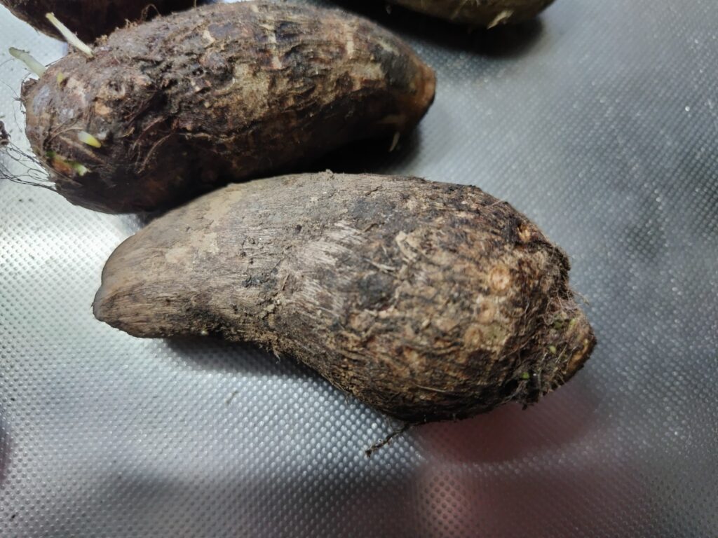 さといも 拡大画像