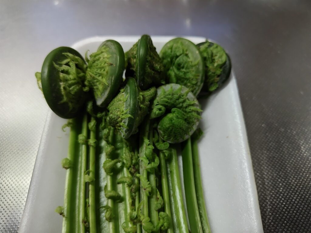 こごみ 先端