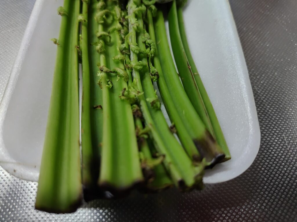 こごみ 下端