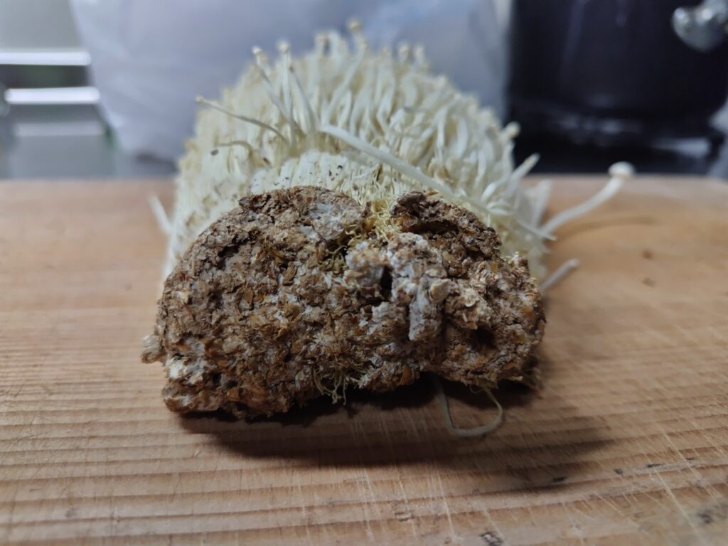エノキタケ 石づき