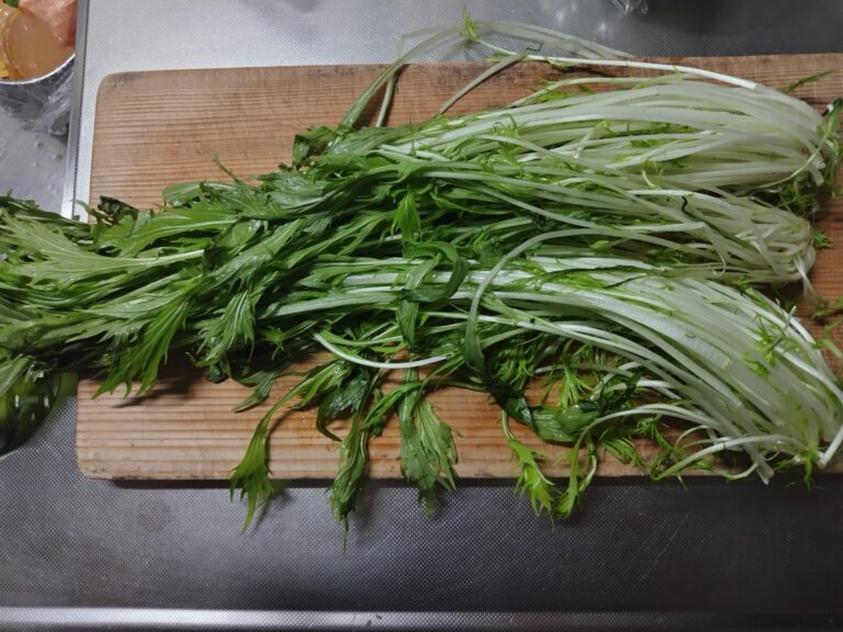 水菜
