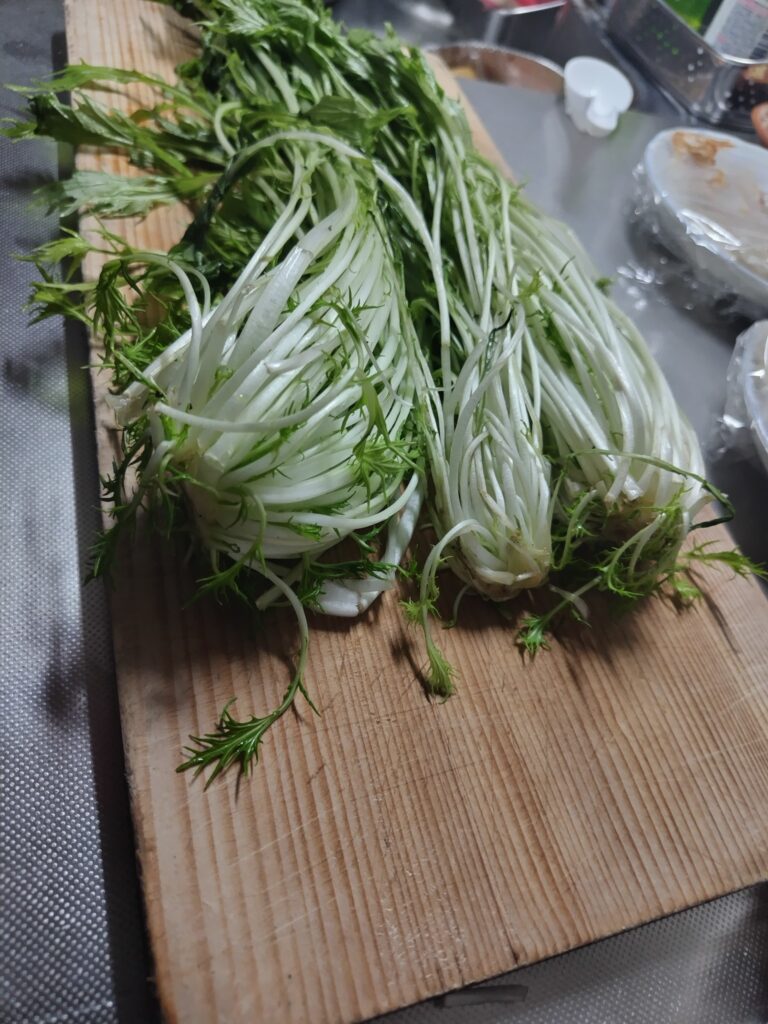 水菜 根元