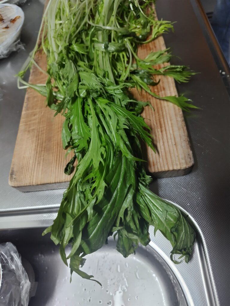 水菜 先端