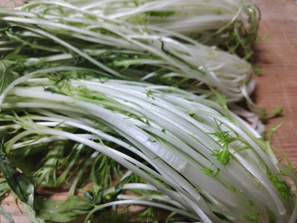 水菜 茎