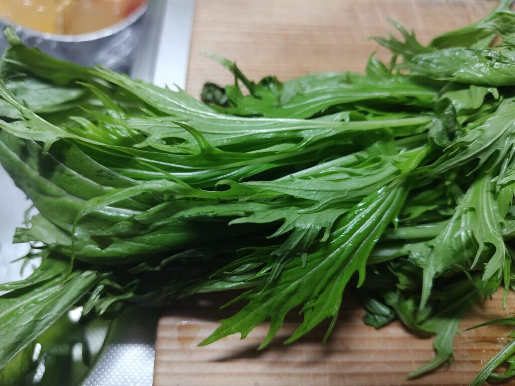 水菜 葉の色が鮮やか