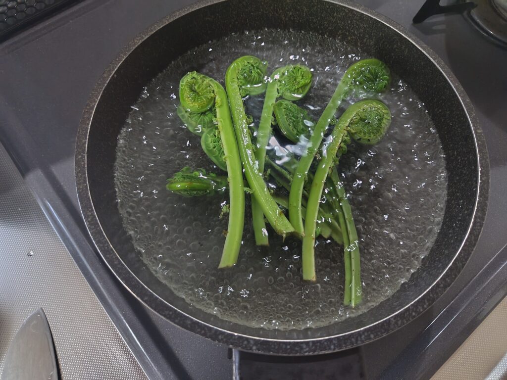 こごみ 茹でているところ