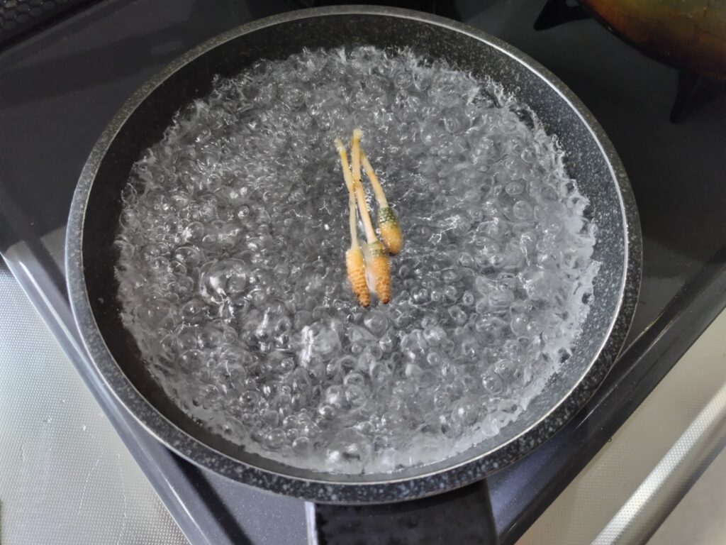 つくし 茹でているところ