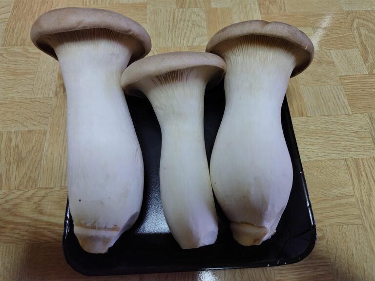 エリンギ
