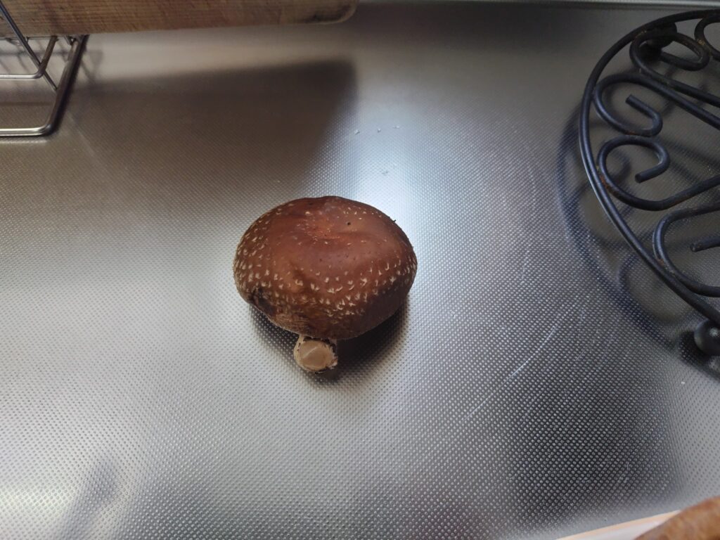 しいたけ