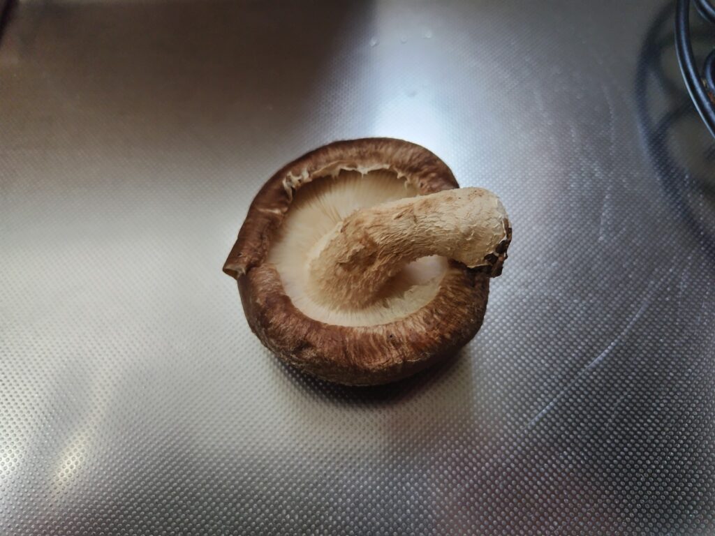 しいたけ 裏側