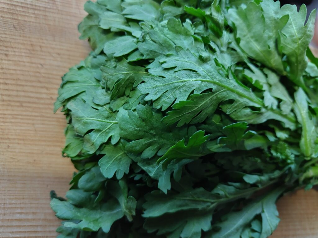 春菊 葉側