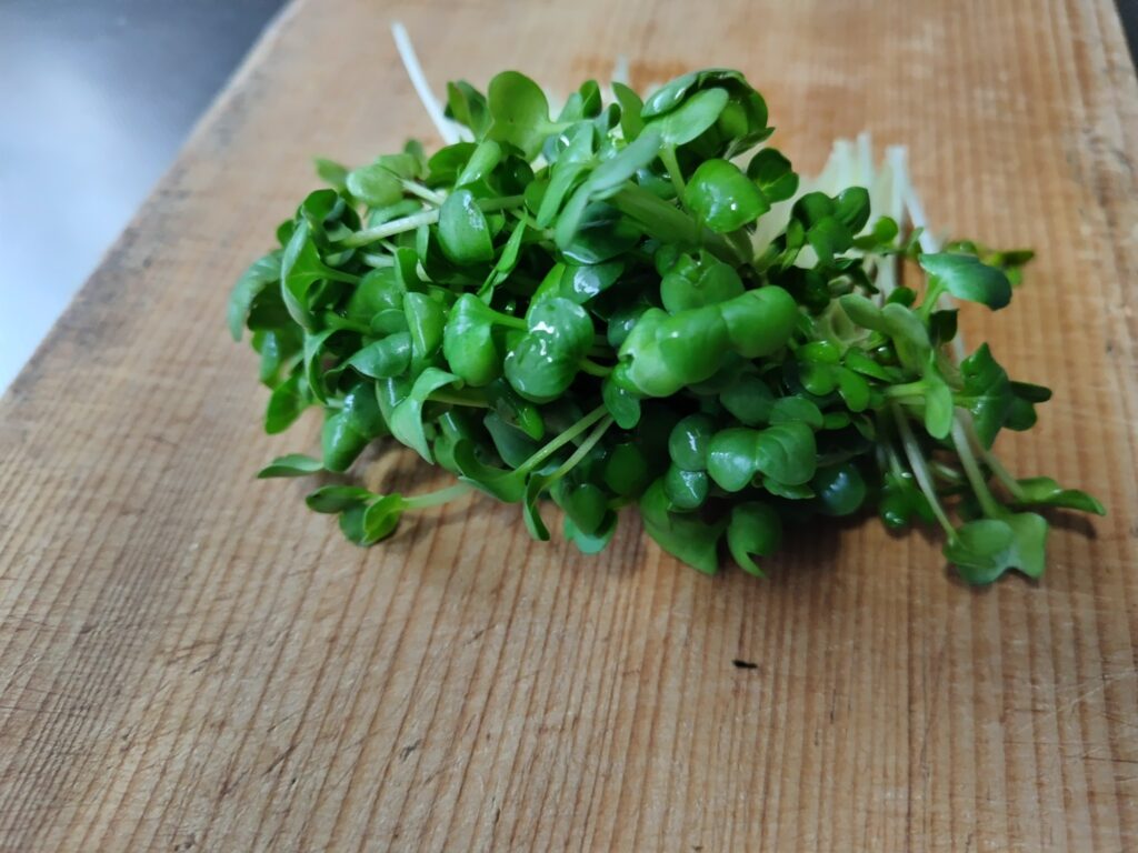 かいわれ大根 葉