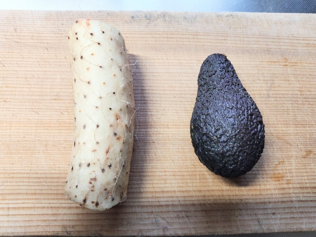左はやまのいも　右はアボカド