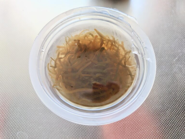 もずく　市販品