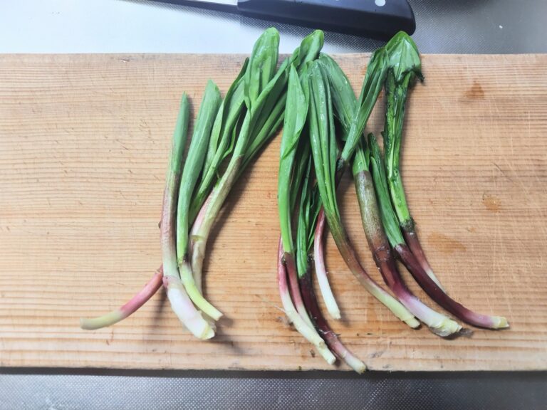 ギョウジャニンニク