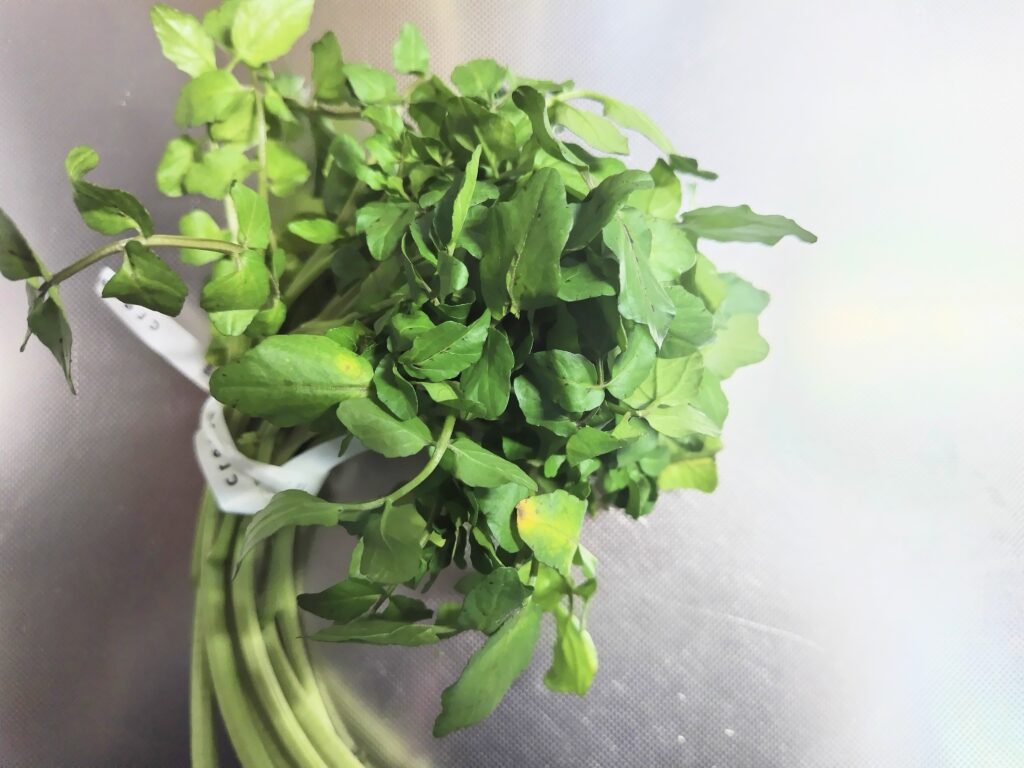 クレソン　葉の部分の拡大