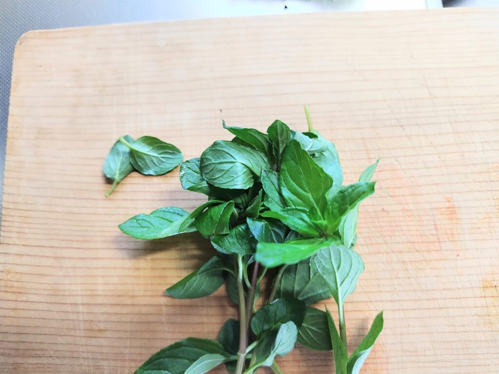 ミント　葉の部分